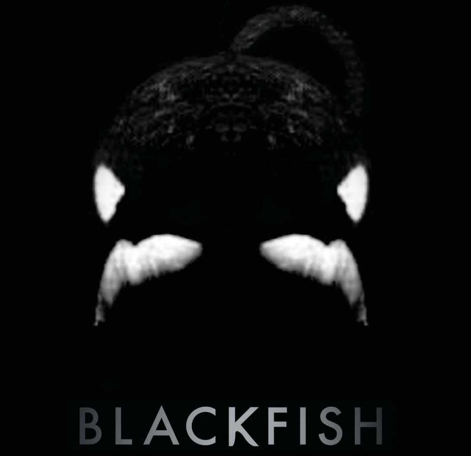 Blackfish